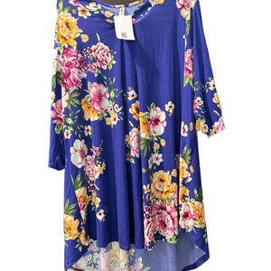 NWT Emerald Brand Blue and Pink Tunic Top
